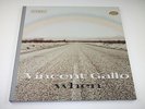 VINCENT GALLO WHEN LP 2001 UK ORIG WARP GTF JK FOLK DOWNTEMPO BUFFALO 66 Bohack