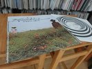 IAN CARR BELLADONNA 1972 VERTIGO SWIRL UK 1ST PRESS MEGA RAR