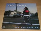 Dru Down  Can You Feel Me   2 LP  1996