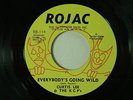 Curtis Lee & KPC's 45 EVERYBODY'S GOING WILD / GET IN MY BAG   Rojac VG++ soul