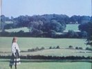 Shirley Collins - A Favourite Garland.  LP in Excellent condition
