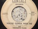 The Thirteenth Floor Elevators 13th - You're Gonna Miss Me Contact Psych 45