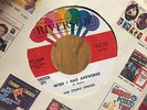 The Staple SIngers Wish I Had Answered Blowin' In The Wind Riverside Promo 4568