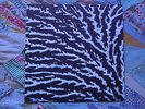 Grouper Cover the Windows and the Walls LP Root Strata 2007 Pressing Excellent