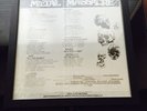 Rare Misspelled Metallica Metal Massacre Record