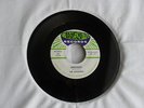 Original Collector Rocker '45 The Catalinas 