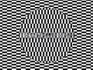 Carter Tutti Void - Transverse Vinyl Record LP