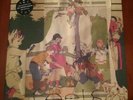 Animal collective feels vinyl