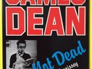 James Dean Is Not Dead Morrissey Book