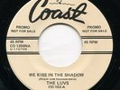 LUVS WE KISS IN THE SHADOW +1 PITTSBURGH HITS ON COAST 45 ? TERRY LEE / MAD MIKE