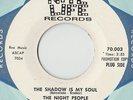 RARE ORIGINAL GARAGE ROCK FUZZ PSYCH 45 - THE NIGHT PEOPLE - NITE LIFE - CLEAN