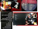 LP Paul Weller: Wild Wood (GO 828 435-1) mit Poster & 2 Cards D 1993