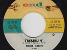 Northern Soul R&B Mod 45 - Birdie Green - Tremblin' - End - mp3