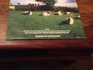 THE KLF CHILL OUT RARE LP UK PRESSING JAMS LP5 Very Good Plus