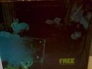 free tons of sobs uk original