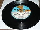 The Soul Cats - Your Sweet Love / Keep It Moving - CAMEL / PAMA 7'' CA 23