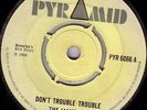 THE MAYTALS/SKINHEAD REGGAE/PYRAMID 45/DON'T TROUBLE TROUBLE - DOUBLE ACTION