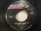 THE IKETTES What'cha Gonna Do PHI-DAN NORTHERN SOUL 45 RARE Down, Down LISTEN