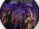 CRADLE OF FILTH - MIDIAN (VMLP025) OFFICIAL SWEDISH PICTURE DISC LP