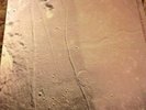 Brian Eno Apollo Atmospheres And Soundtracks Vinyl LP