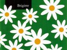 LOS PLANETAS BRIGITTE SINGLE VINILO