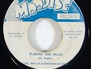 Carl Bryan & Rhythm Rulers 