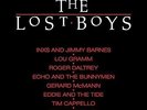 Lost Boys / O.S.T. (Vinyl Used Very Good)