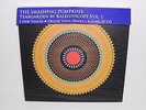 The Smashing Pumpkins Teargarden By Kaleidyscope Vol. 1 Vinyl LP + CD Box Set