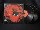 Smashing Pumpkins 2 LP 