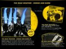 Third Man Records Vault #25. Dead Weather Dodge And Burn Vinyl And More