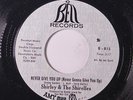 SHIRLEY & SHIRELLES: Never Give You Up / Go Away And Find Yourself 45 (sm co) r