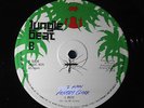 Freddy Clark & I-Roy - I man / Troubles JUNGLE BEAT 12