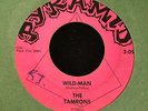 HEAR IT RARE NC PUNK GARAGE The Tamrons Pyramid 7381 Wild Man