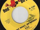 006-45-KillerKool 1966 Chicago Garage-Punk (BOULDERS)