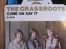 The Grass Roots 45 Come On Say It Something's Comin' PS WLP Dunhill 4249 1970
