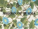 Vs [VINYL] Mission of Burma Vinyl