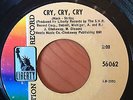 Unrelated Segments, Cry Cry Cry, Liberty Records, Garage Rock, 60's Punk, BFTG