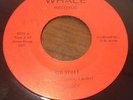 RARE DETROIT GARAGE ROCK 45 POWER POP RECORD.HOT LUCY.KID STUFF/SWITCHITTER.HEAR