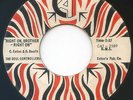 FUNK/SOUL 45 - THE SOUL CONTROLLERS on CAT