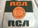 SPAGHETTI HEAD   BIG NOISE FROM WINNETKA / FUNKY AXE ** 1975 RCA 45 FUNK-PSYCH