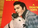 Elvis Presley LP - A Dog's Life - Unreleased Studio & Live Concert Masters 61-73