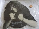 *RARE* WHITESNAKE DAVID COVERDALE  GUILTY OF LOVE SHAPED PICTURE DISC VINYL