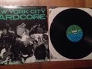 Nyhc The Way It Is Comp 1st Press W/ Book Warzone Youth Of Today Sick Of It All