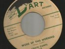 ROCKABILLY MOD POPCORN BLUES-  CHASE CANFIL - WOKE UP THIS MORNING -HEAR - DART
