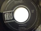 The Marvels - Rock Steady (FRM) - great vocal, even better instrumental