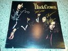 Black Crows - Shake Your Money Maker 