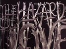 DECEMBERISTS, The - The Hazards Of Love - Vinyl (gatefold 2xLP)