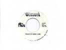 BLIZZARD- PEACE OF MIND (RARE PRIVATE HARD ROCK PSYCH) PROTO METAL CIRCA '74