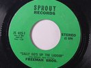rare Soul 45 FREEMAN BROTHERS life of love SPROUT Listen