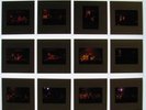 JOHNNY WINTER Detroit 1980 Unpublished 35mm Slide Transparency Sheet No.3
